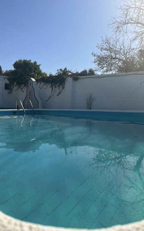 centro pachecas 7