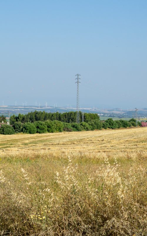 cuartillos paisaje