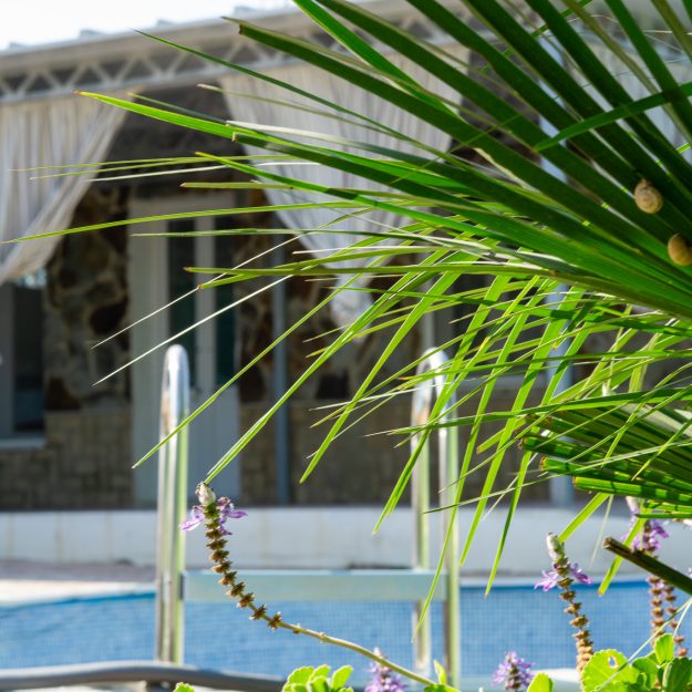 piscina cuartillos